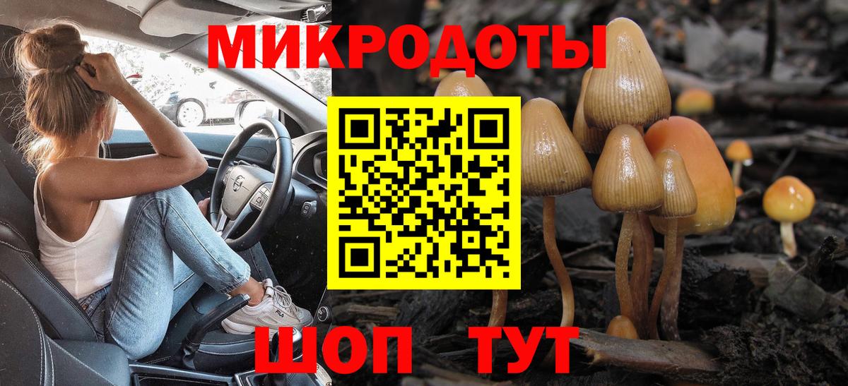Галлюциногенные грибы Magic Shrooms Кизилюрт