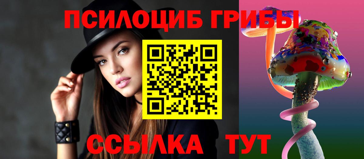 Кизилюрт  Галлюциногенные грибы прущие грибы  Галлюциногенные грибы мухоморы  Вход с VPN 
